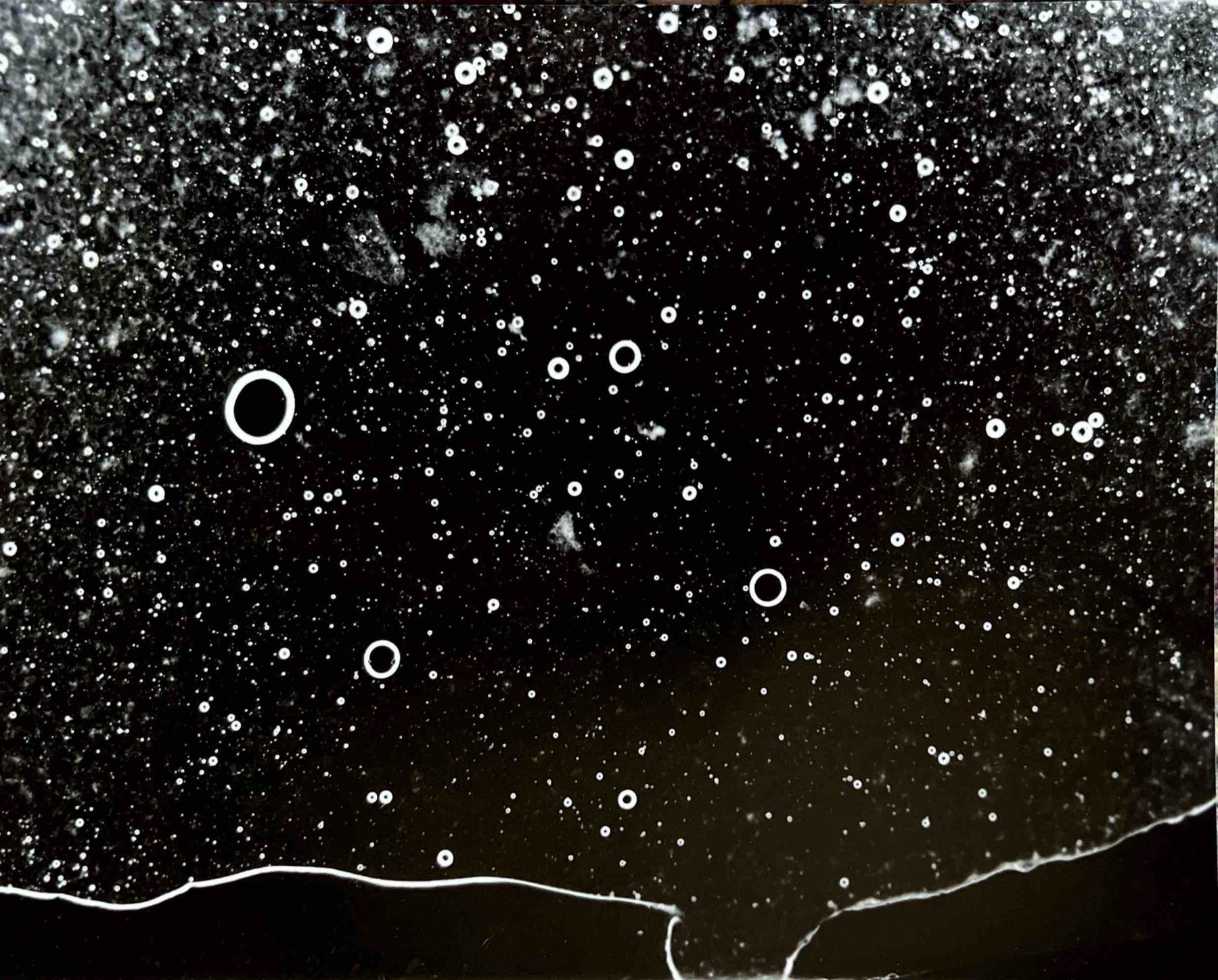 A dark organic photogram filled with rings, bubbles, and granular marks