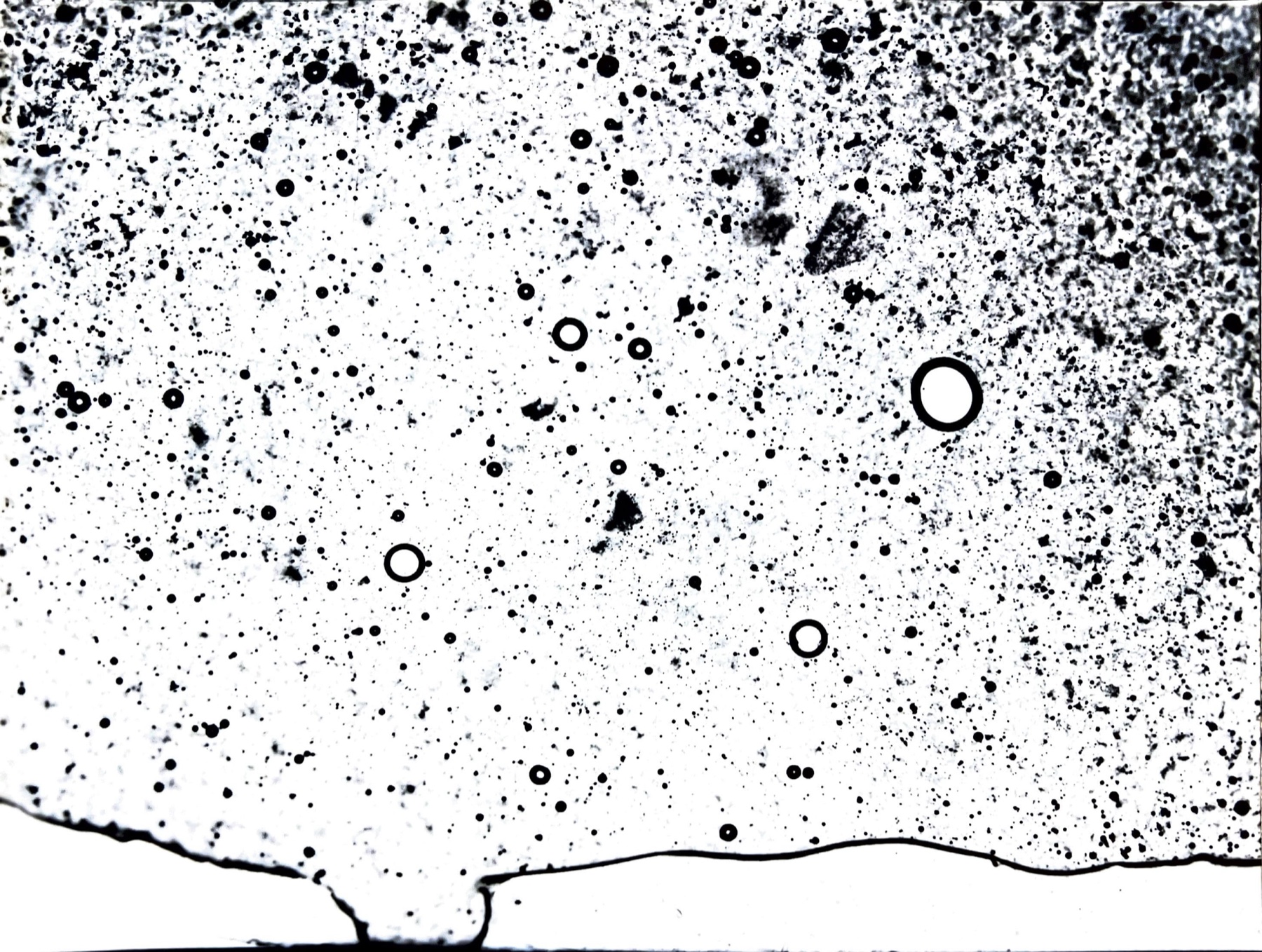 A light organic photogram with dark droplets and circular voids